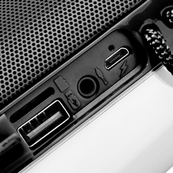 Enceinte nomade DYNABASS DBE10 www.infinytech-reunion.re Enceinte nomade DYNABASS DBE10 www.infinytech-reunion.re