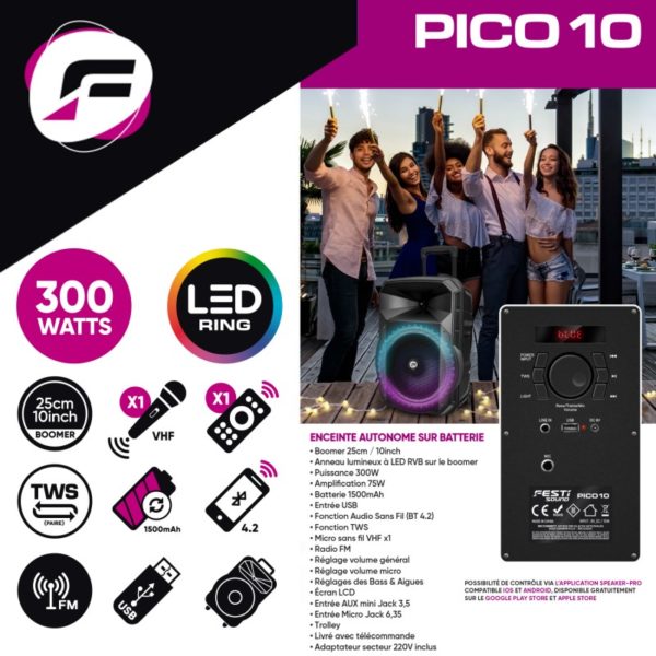 FESTISOUND Pico-10 www.infinytech-reunion.re