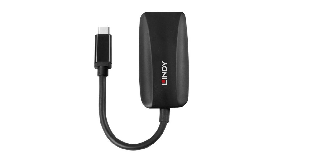 Convertisseur LINDY USB-C Mâle vers DisplayPort Femelle 8K