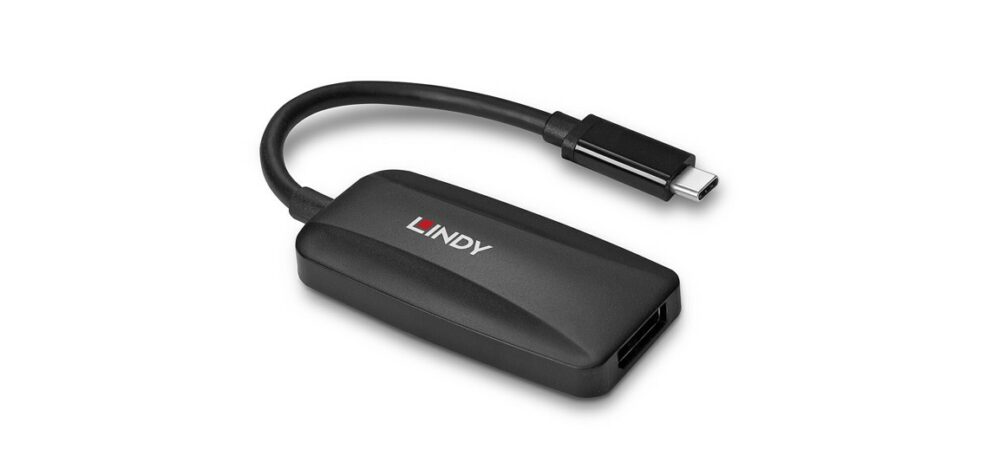 Convertisseur LINDY USB-C Mâle vers DisplayPort Femelle 8K