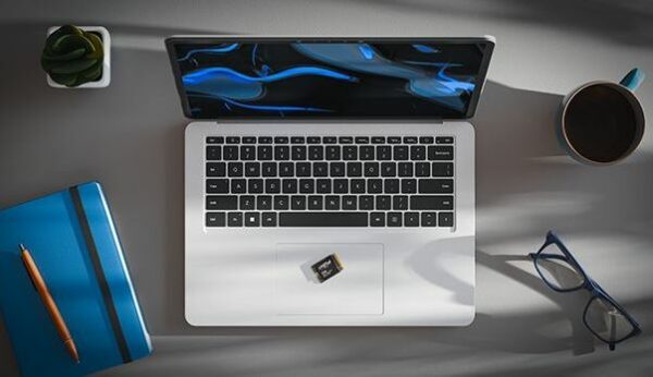SSD M.2 NVMe 2230 CRUCIAL P310 SSD M.2 NVMe 2230 CRUCIAL P310