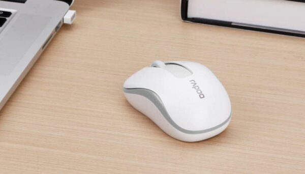 Souris RAPOO M10 Plus Sans Fil Noire