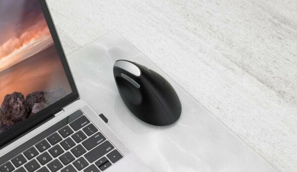 Souris ergonomique RAPOO EV250 Sans Fil