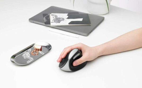 Souris ergonomique RAPOO EV250 Sans Fil
