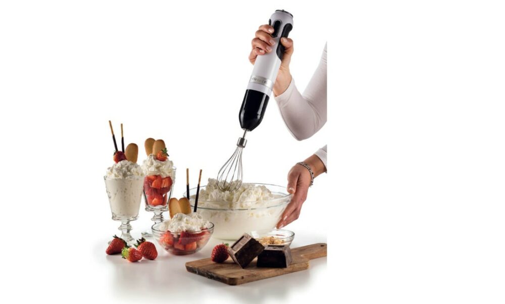 ARIETE Mixeur plongeant Moderna